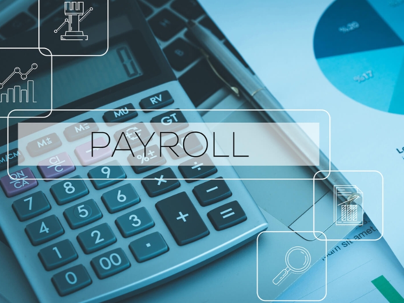 Best Payroll Software for Small Business Top Solutions in 2025