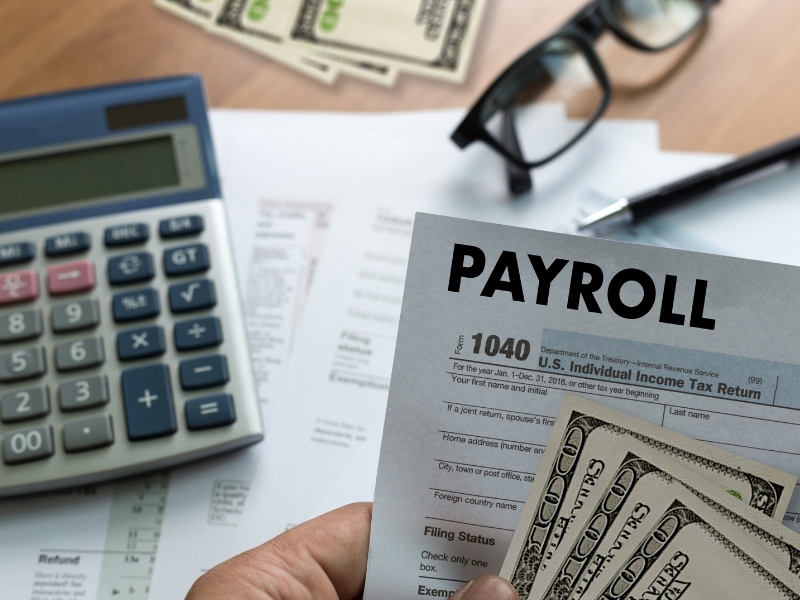 Top Payroll Companies Regional and National Providers Options
