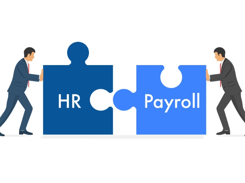 Understanding HR and Payroll Services: A Comprehensive Guide