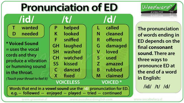 ED and UC Treatment With Velsipity: Common Side Effects Explained