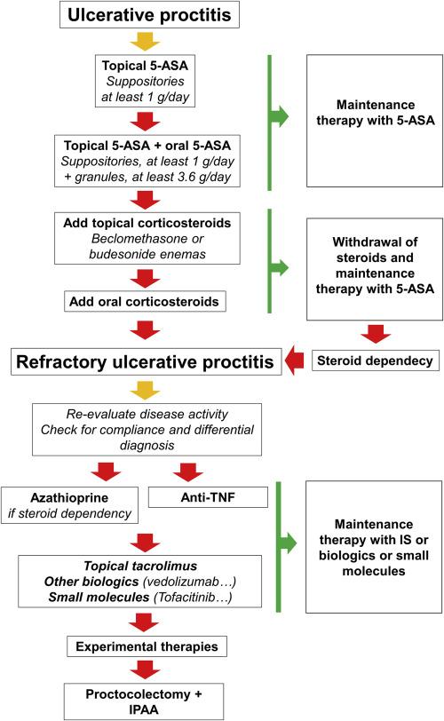 How Does Velsipity Work in Treating Ulcerative Colitis and ED?