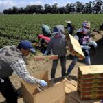 The Role of Immigrant Workers in UK and US Care Homes