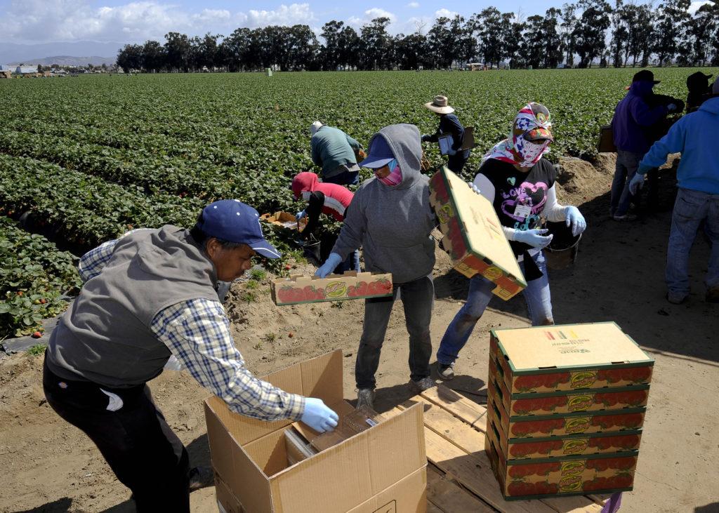 The Role of Immigrant Workers in UK and US Care Homes
