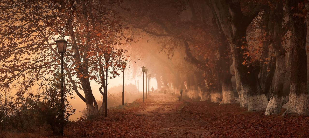 The Emotional Landscape: Navigating ⁣Relationships with Residents and Staff