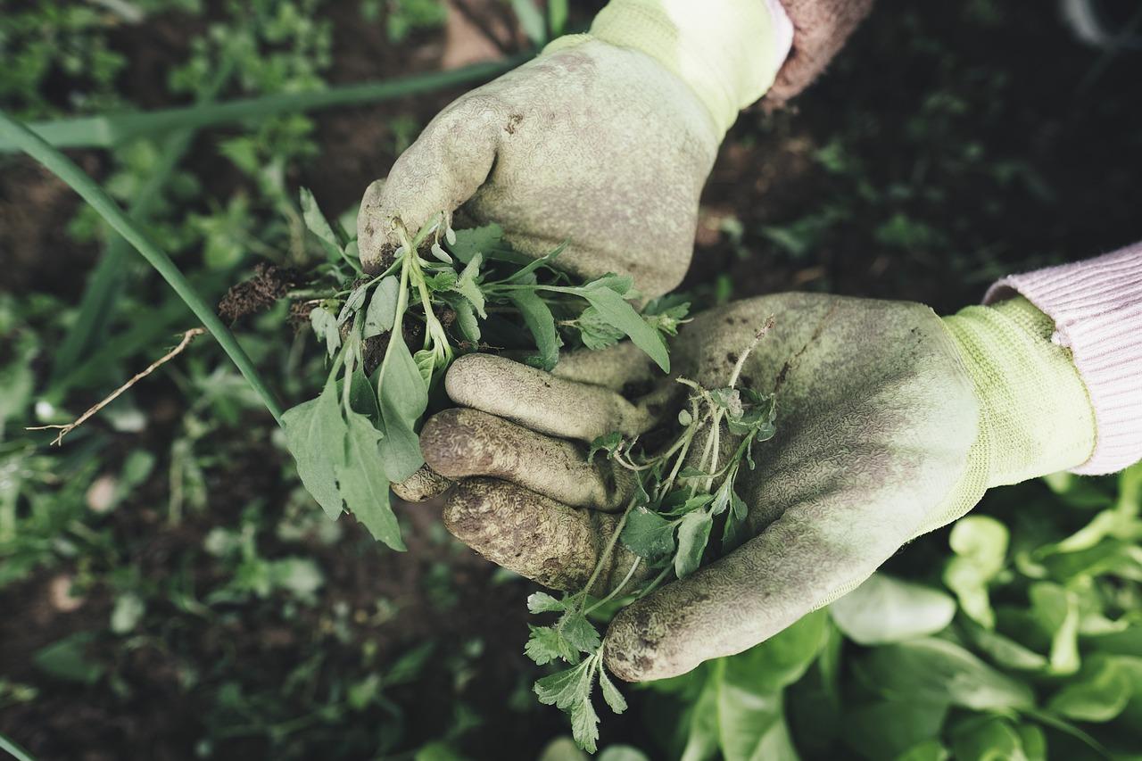 Building⁢ Trust through⁣ Compassion: How Care Work Enhances‍ Patient⁢ Experiences