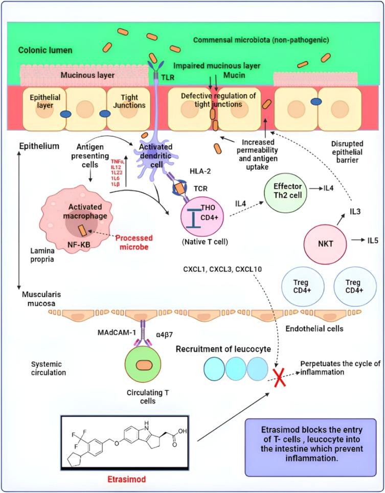 Comparative Insights:‌ ED Velsipity UC Versus ⁤traditional ⁢Treatments