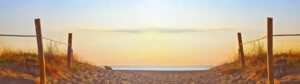 How To Become An Egg Donor In Florida
