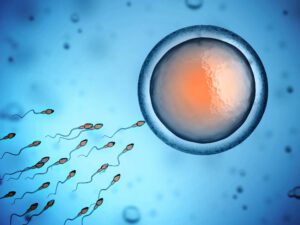 Understanding IUI Costs: What to Expect