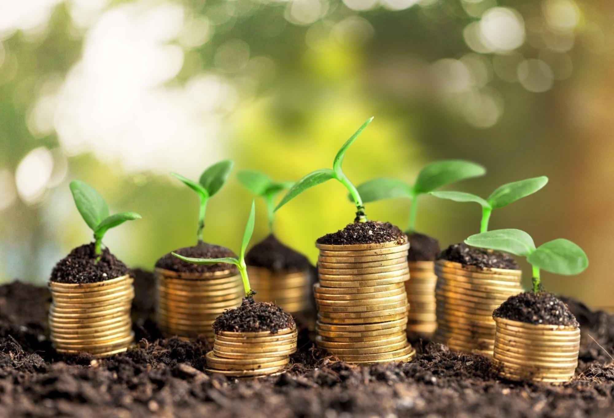 Green Business Loans: Financing Sustainable Startups