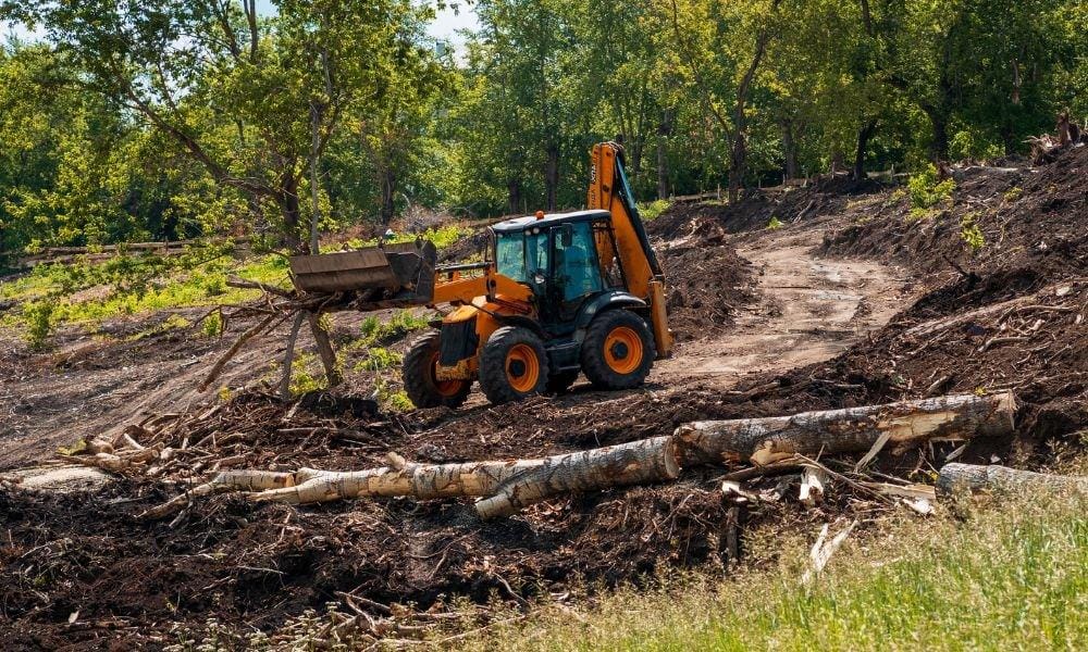 Land Clearing Services: How to Stay Within Budget