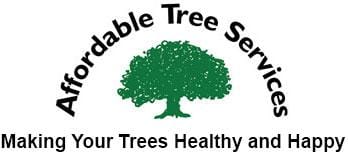Affordable Tree Services Near Me: How to Find the Best Deals